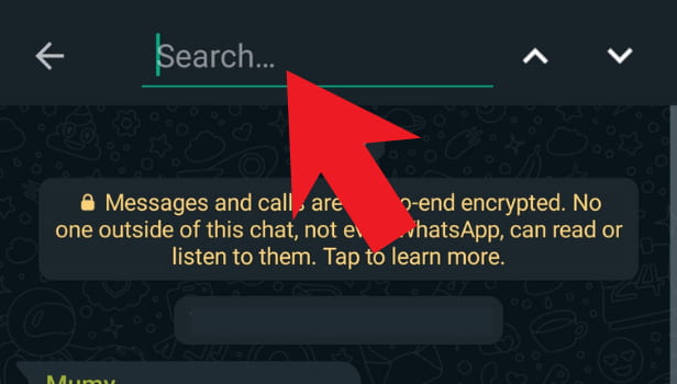 Image titled search messages in WhatsApp group Step 5